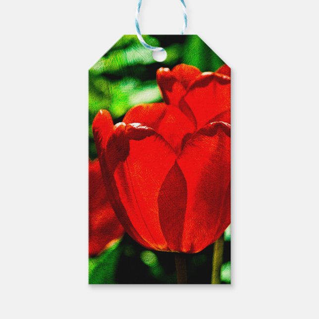 Red tulip flowers gift tags (Front)