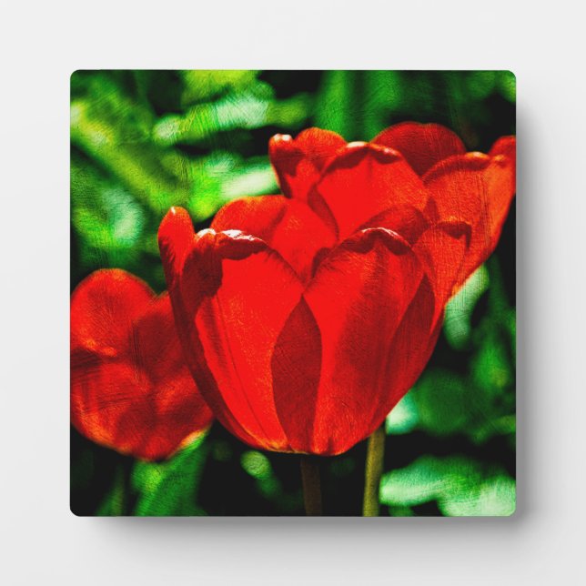 Red tulip flowers plaque (Front)