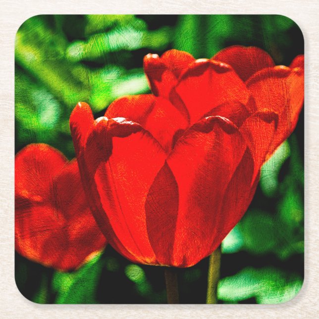 Red tulip flowers square paper coaster (Front)