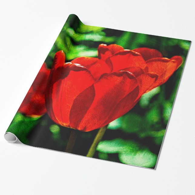 Red tulip flowers wrapping paper (Unrolled)