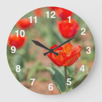 Red Tulip Garden