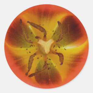 Red Tulip Heart Sticker