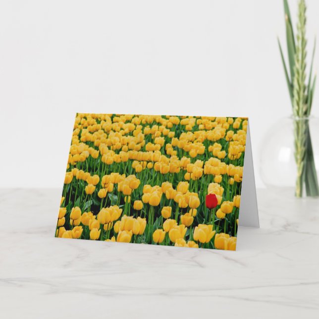 Red Tulip in a Yellow Tulip Field Card (Front)