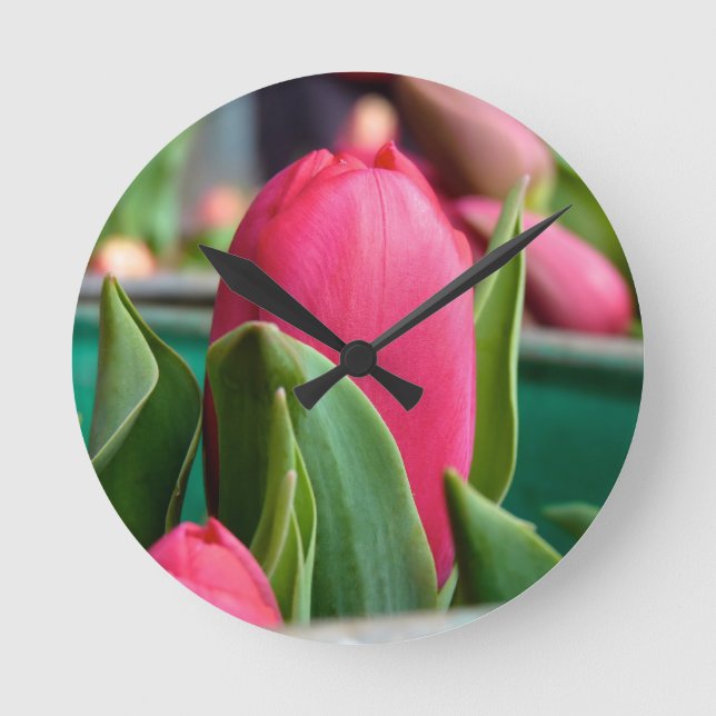 Red Tulip In The Spring Wall Clock (Front)