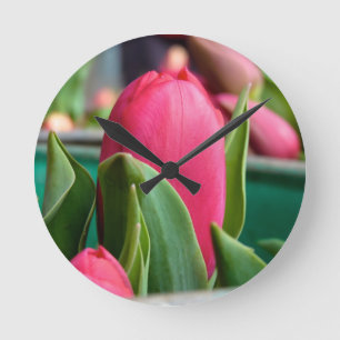 Red Tulip In The Spring Wall Clock
