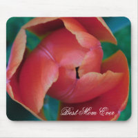 Red Tulip Macro Photo Mouse Pad