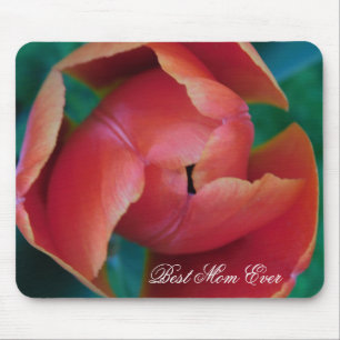 Red Tulip Macro Photo Mouse Pad