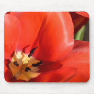 red tulip mouse pad