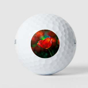 Red tulip - Mystery of blooming Golf Balls