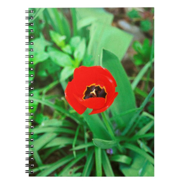 Red tulip notebook (Front)
