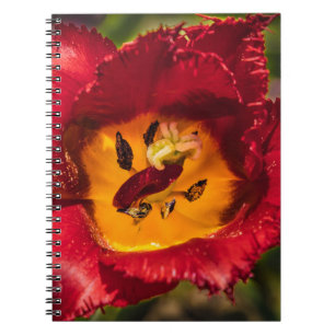 Red tulip notebook