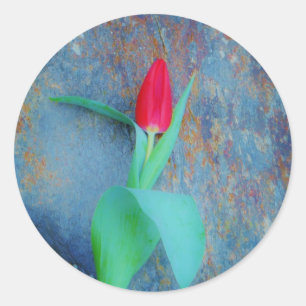 Red Tulip on Blue Grey Slate Classic Round Sticker