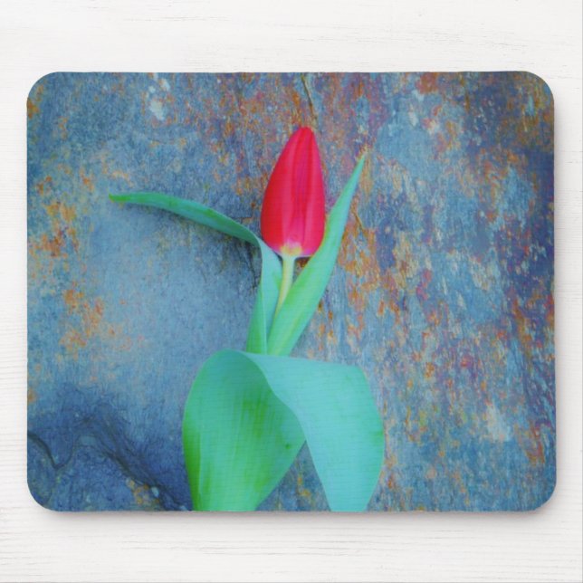 Red Tulip on Blue Grey Slate Mouse Pad (Front)
