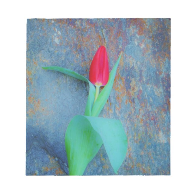 Red Tulip on Blue Grey Slate Notepad (Front)