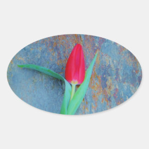 Red Tulip on Blue Grey Slate Oval Sticker