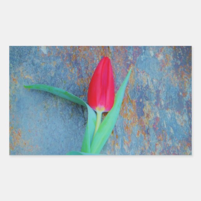 Red Tulip on Blue Grey Slate Rectangular Sticker (Front)