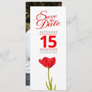 Red tulip photo wedding save the date