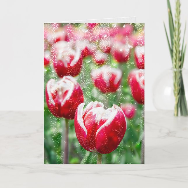 red tulip with raindrops on glass card (Front)