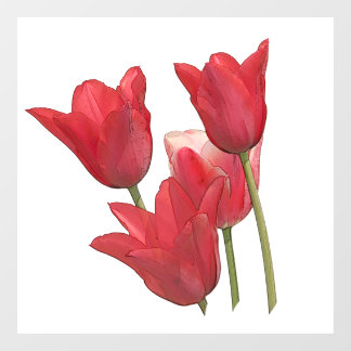 Red Tulips