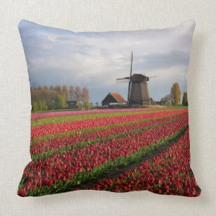Red tulips and a windmill cushion