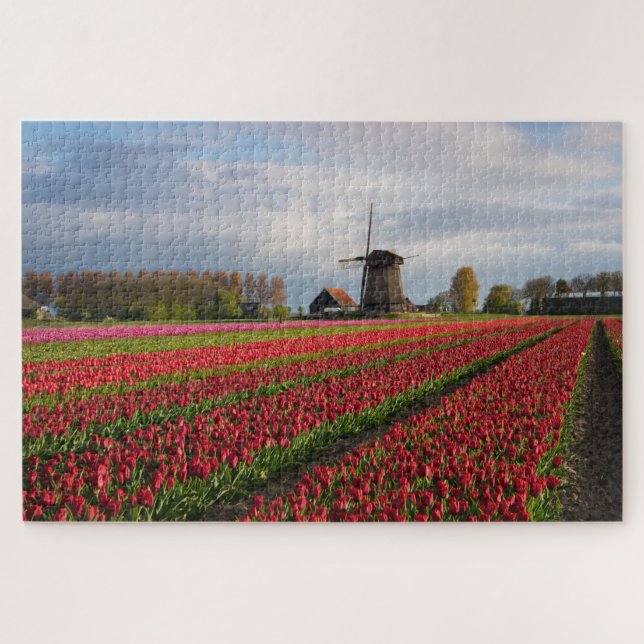 Red tulips and a windmill in spring jigsaw puzzle (Horizontal)