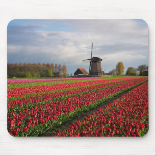 Red tulips and a windmill mouse pad