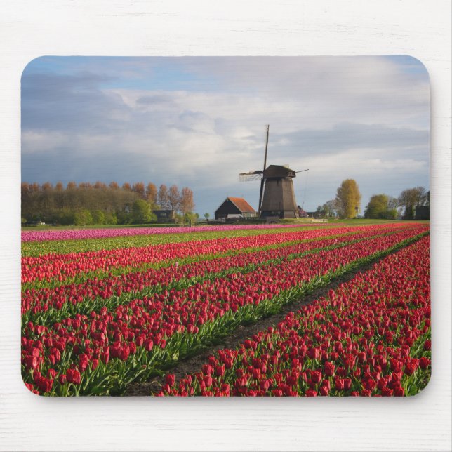Red tulips and a windmill mouse pad (Front)