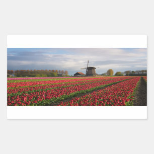 Red tulips and a windmill rectangular sticker