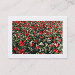 Red Tulips and Primroses (Bordered) Business Card