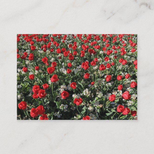 Red Tulips and Primroses Business Card (Front)