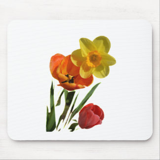 Red tulips and yellow daffodil flowers mouse pad