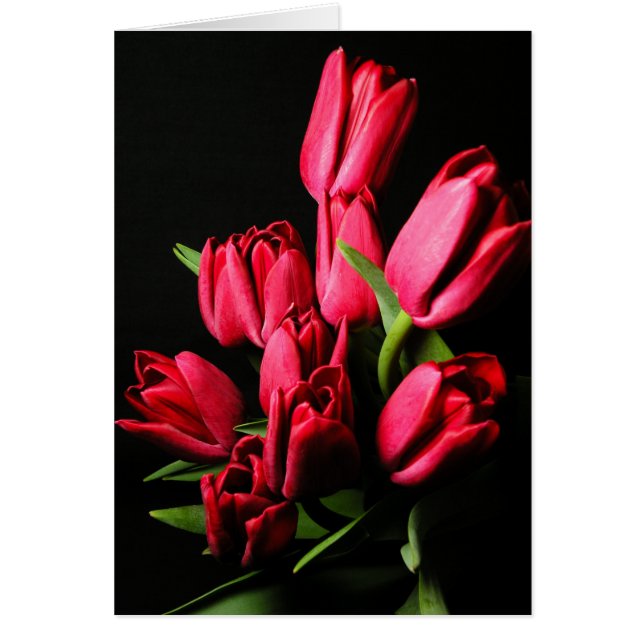 Red Tulips Blank Card (Front)