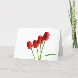 Red tulips blank greetings card