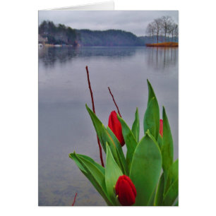 Red Tulips Blue Lake Arrowhead water