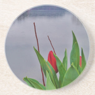 Red Tulips Blue Lake Arrowhead water Coaster