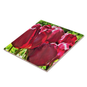 Red Tulips Ceramic Tile