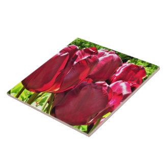 Red Tulips Ceramic Tile