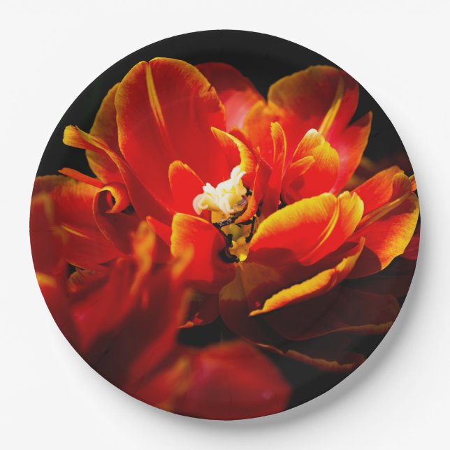 Red tulips dark background paper plate (Front)