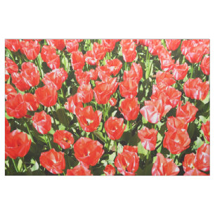 Red tulips fabric
