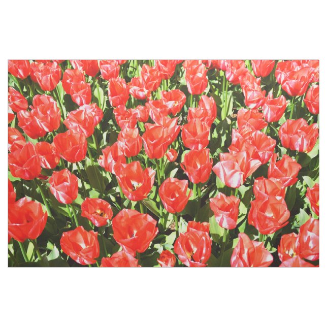Red tulips fabric (Yard)