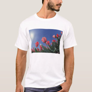 Red tulips from very low angle, Cincinnati, T-Shirt
