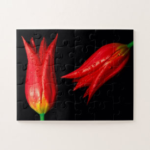 Red Tulips Game Puzzle