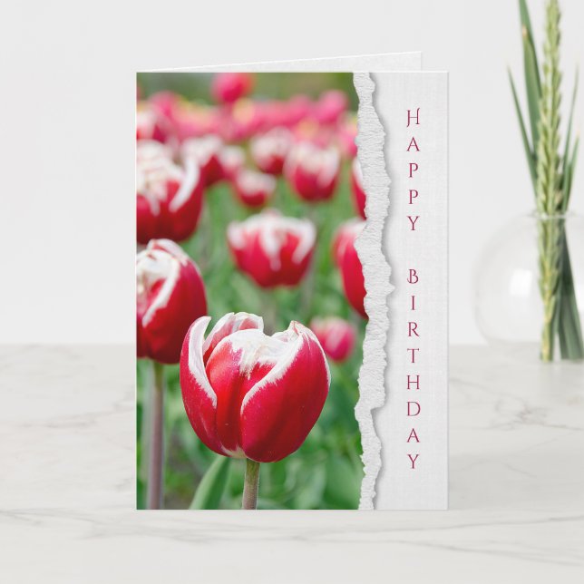 red tulips in garden birthday card (Front)