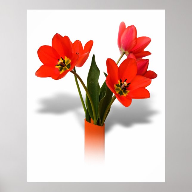 Red Tulips in Vase Poster (Front)