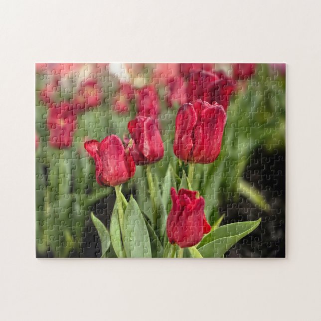 Red Tulips Jigsaw Puzzle (Horizontal)