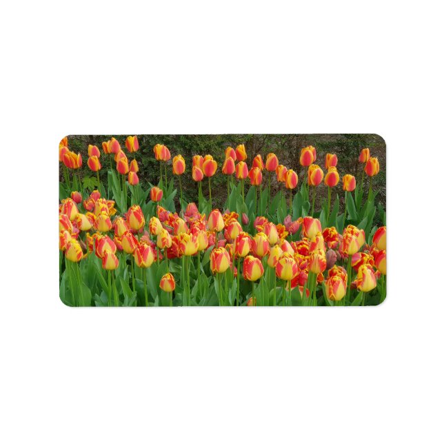 Red Tulips Label (Front)