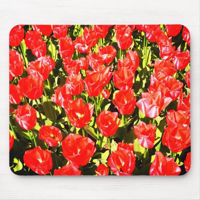 Red tulips mouse pad (Front)