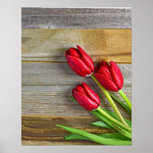 red tulips of rustic wood poster