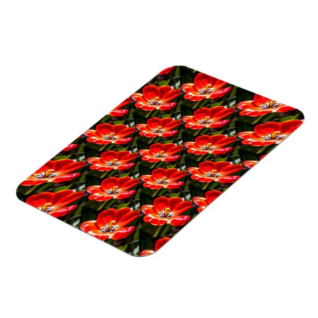 Red Tulips Pattern Magnet (Left Side)