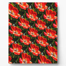 Red Tulips Pattern